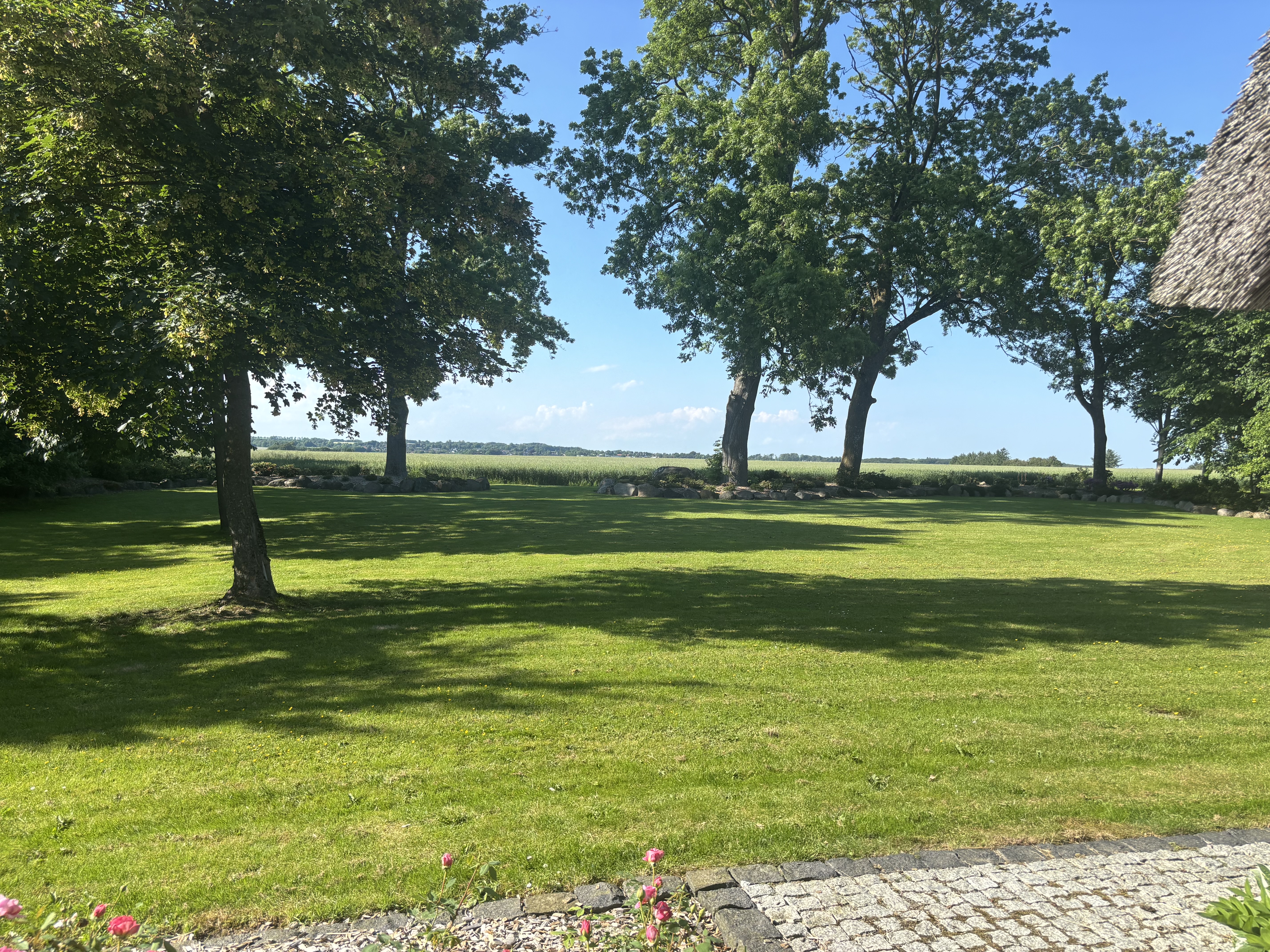 Udsigt fra vores terrasse 