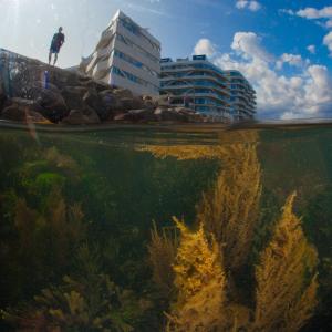 Stenrev af fotograf Mikkel Noe