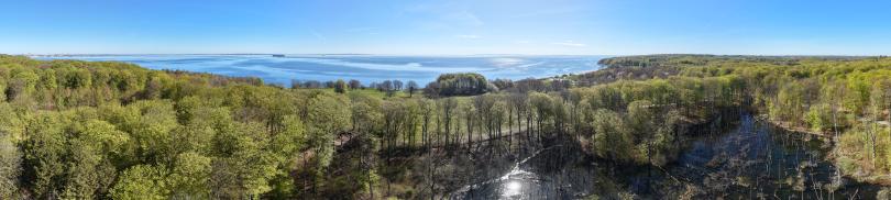 Vand og skov