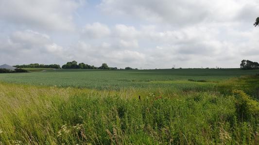 Solceller ved Mustrupvej