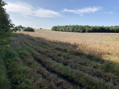 Solceller ved Kattrupvej og Hovvejen