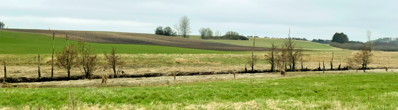 Header Hørslev