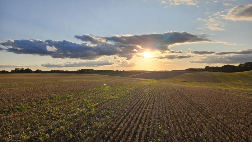 Ny natur Sabro