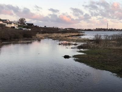 Billedet viser oversvømmelse nær boligområde