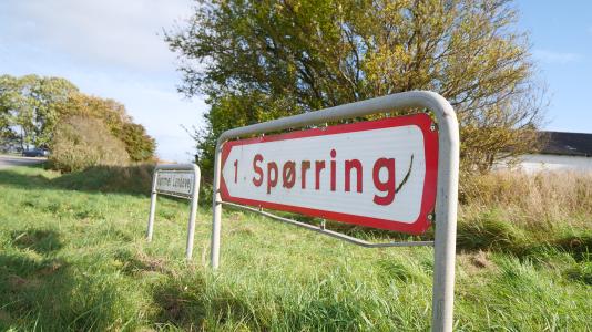 Sporring