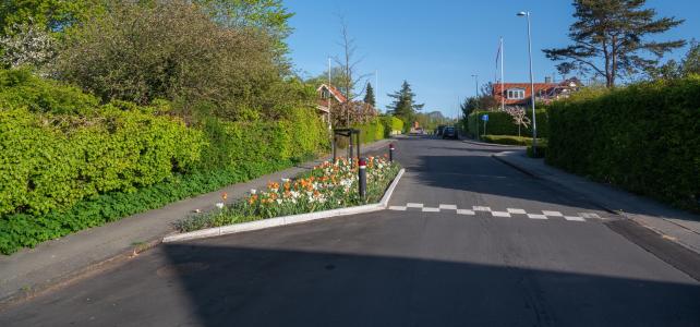 Regnvandsbed Åbyhøj