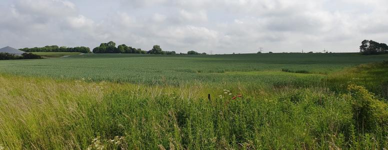 Solceller Mustrupvej
