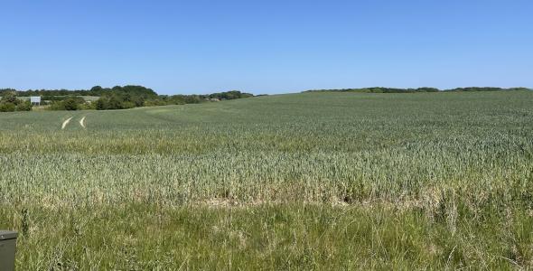 Studstrup solcellepark