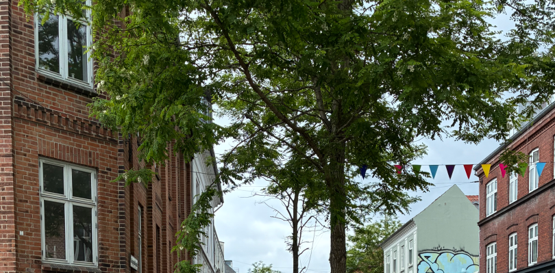 Jægergårdsgade, flag, sommer