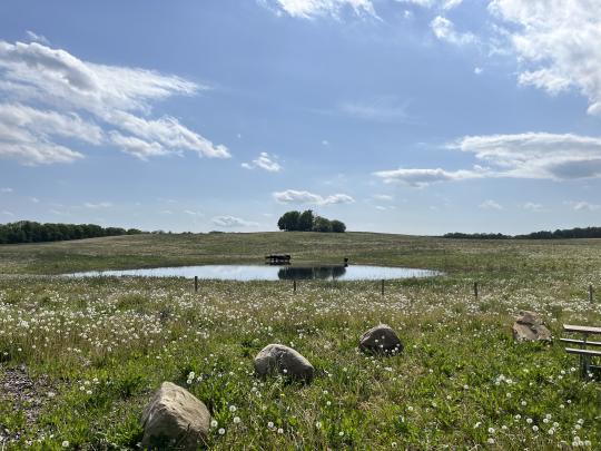 Nyt naturlandskab Hjortebakkerne