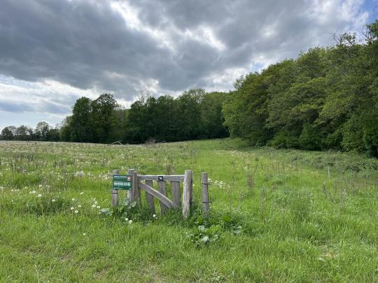 Ny natur rekreative stier, Mariendal Strandmark