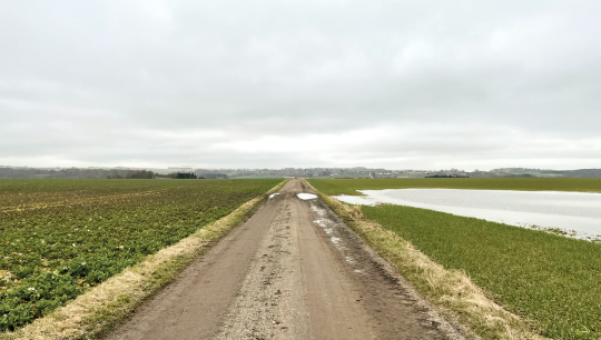 Hørslev en markvej 