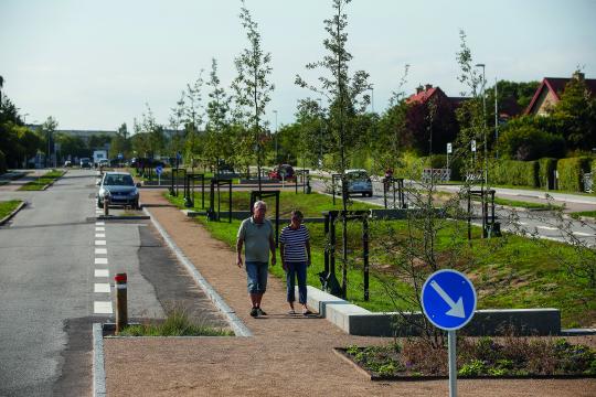 Foto af en grøn grøft mellem to vejbaner beplantet med træer. Eksemplet er fra Risvangen i Aarhus. 