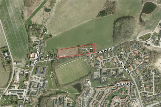 ortofoto oversigt over lokalplanområdet  